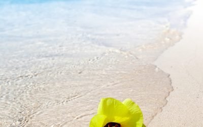 Comprendre le réflexe de Moro chez l’adulte : causes et implications