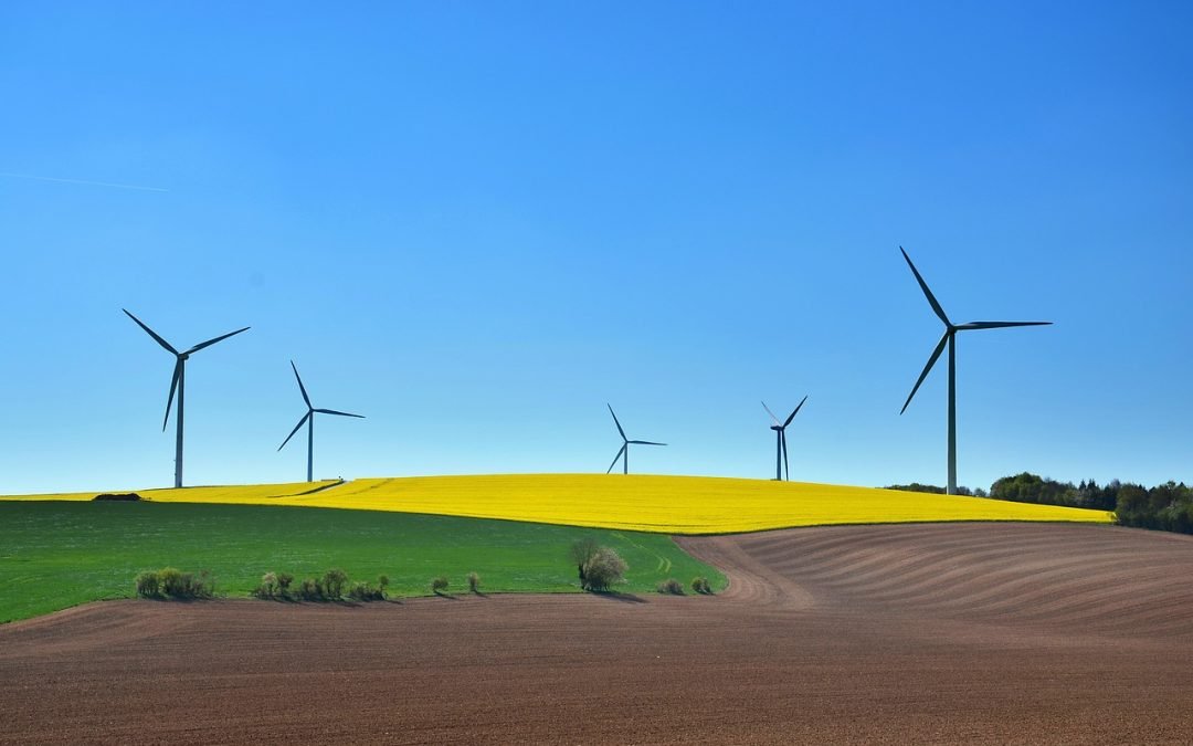 clés essentielles pour atteindre le bonheur durable
