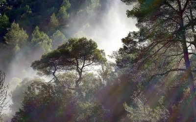 L’inversion psychologique : comprendre les mécanismes derrière cette stratégie de manipulation