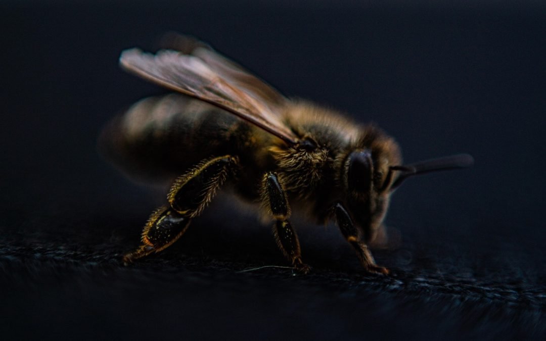 Le palming oculaire : une méthode pour apaiser les symptômes du TDAH ?