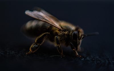 Le palming oculaire : une méthode pour apaiser les symptômes du TDAH ?