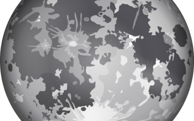 Que sont les actions de l’IEPRA pour la planète ?