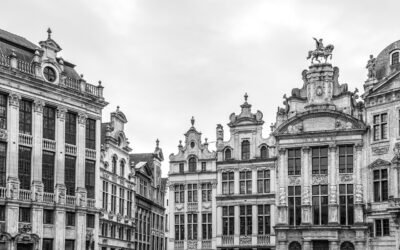 Découvrez la formation EMDR en Belgique : un outil puissant pour les professionnels de la santé