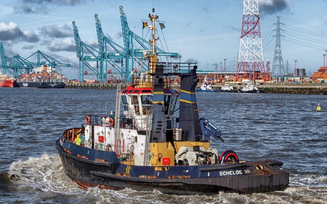 Trouver un psychothérapeute en Belgique : guide des meilleures pratiques