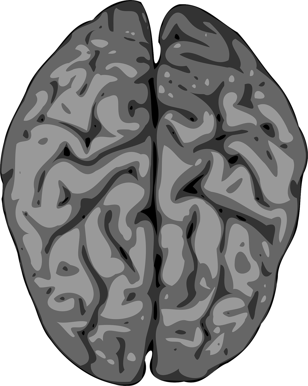 dĂ©couvrez le cerveau humain, organe complexe responsable de nos pensĂ©es, Ă©motions et fonctions vitales, au cĆur de notre systĂšme nerveux.