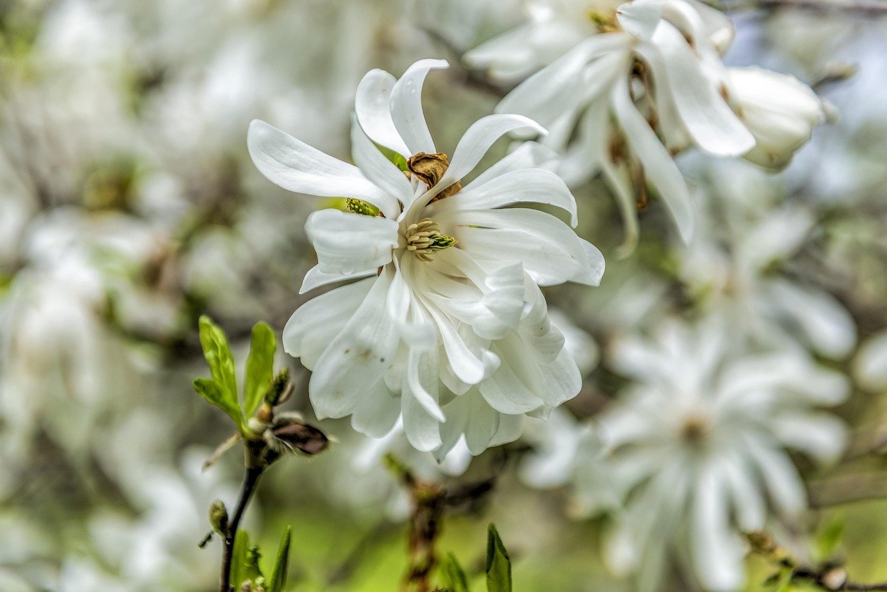 découvrez la méthode tre, une technique innovante pour libérer le stress et améliorer votre bien-être grâce à des exercices simples et efficaces.
