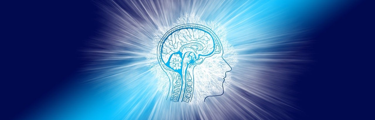 découvrez la puissance de l'intelligence compassionnelle, une approche alliant empathie et réflexion pour mieux comprendre et agir dans nos relations humaines.