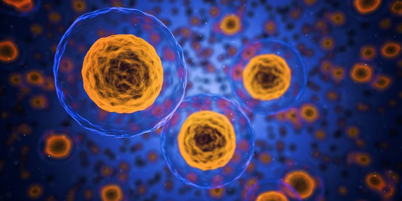 explorez les bases scientifiques du bonheur et découvrez comment la recherche explique ce qui influence notre bien-être et notre satisfaction de vie.